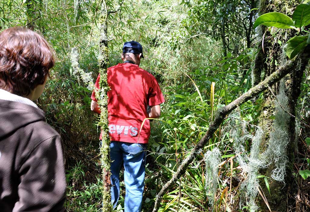 3 Days Uganda Gorilla Trekking Safari to Bwindi National Park