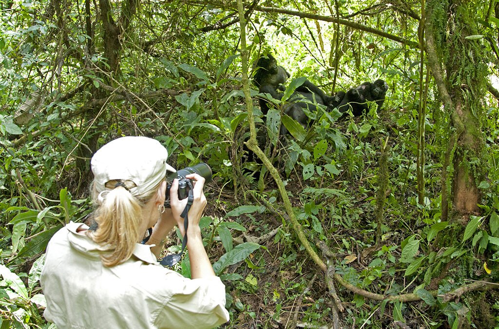 Bwindi-Impenetrable-Forest-National-Park