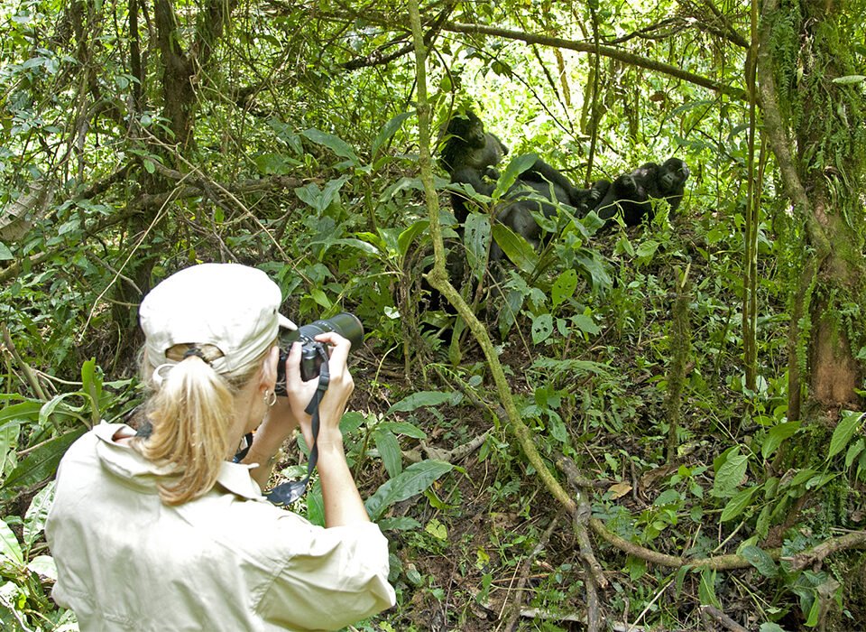 Bwindi-Impenetrable-Forest-National-Park