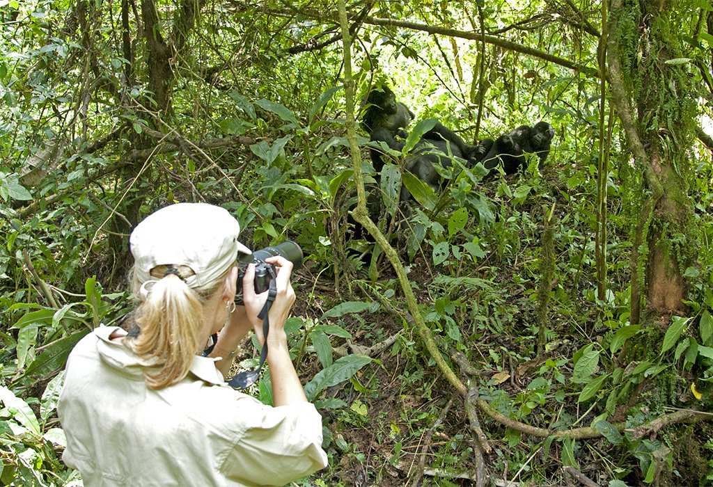 Bwindi Impenetrable Forest National Park