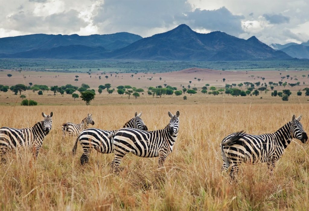 Kidepo Valley National Park