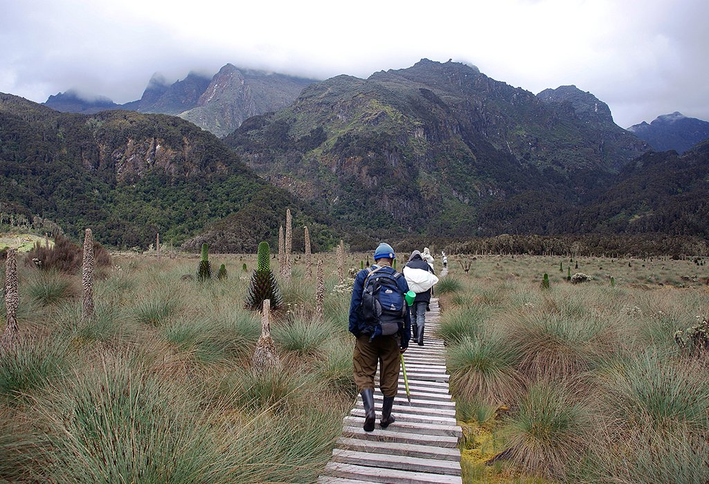 Rwenzori-Mountains-Hiking